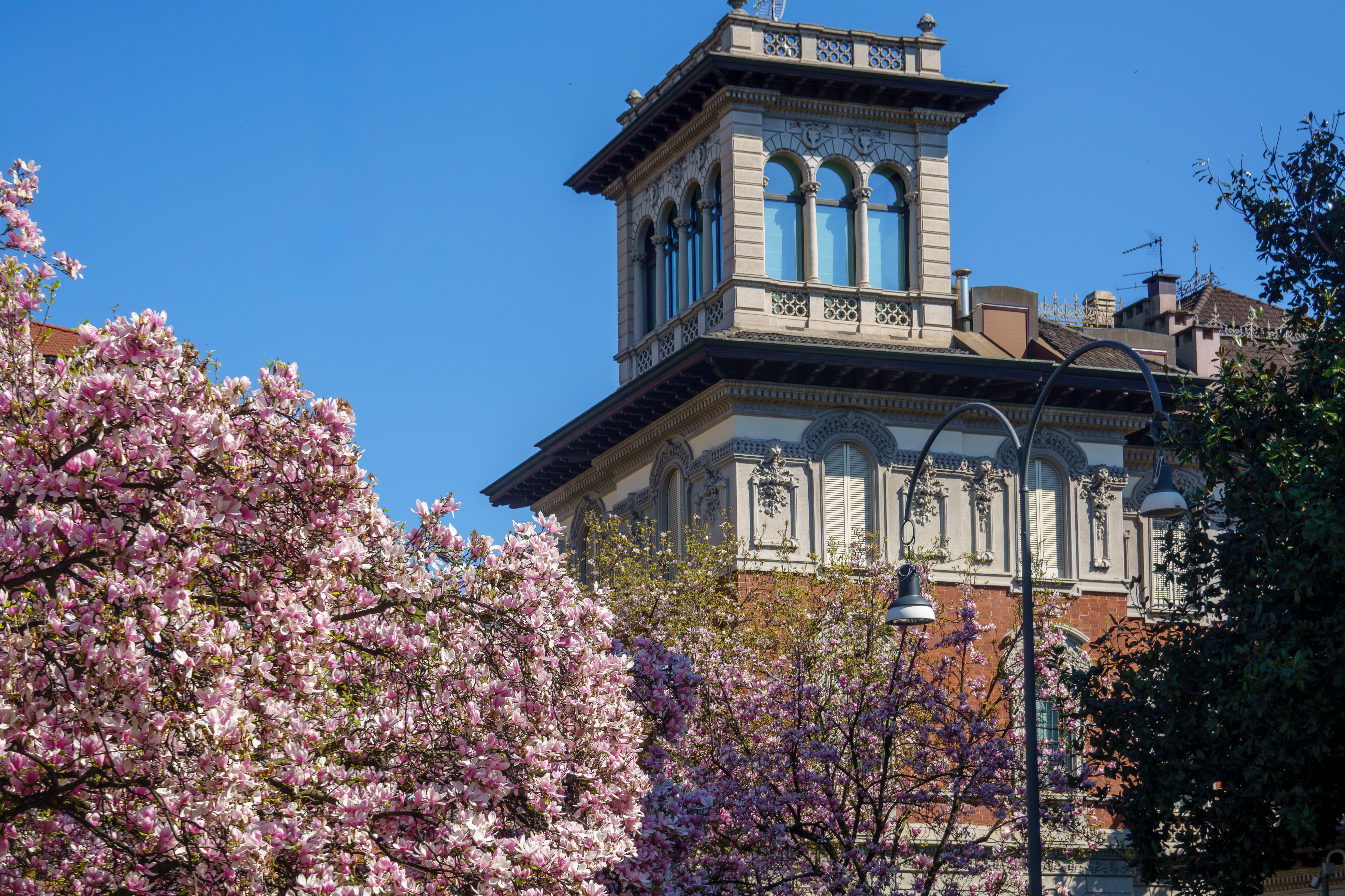 Visite de l'Orto Botanico di Brera et herbarium privé
