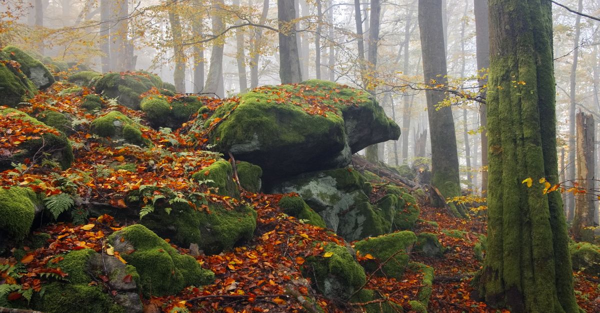 10 Unique Travel Discoveries You Should Explore This Year
