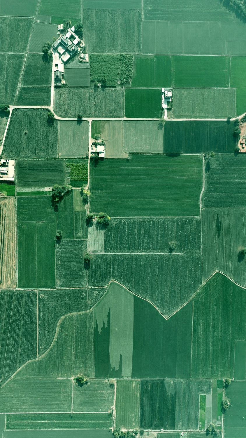 Aerial View of Lush Green Agricultural Fields in Punjab · Free Stock Photo