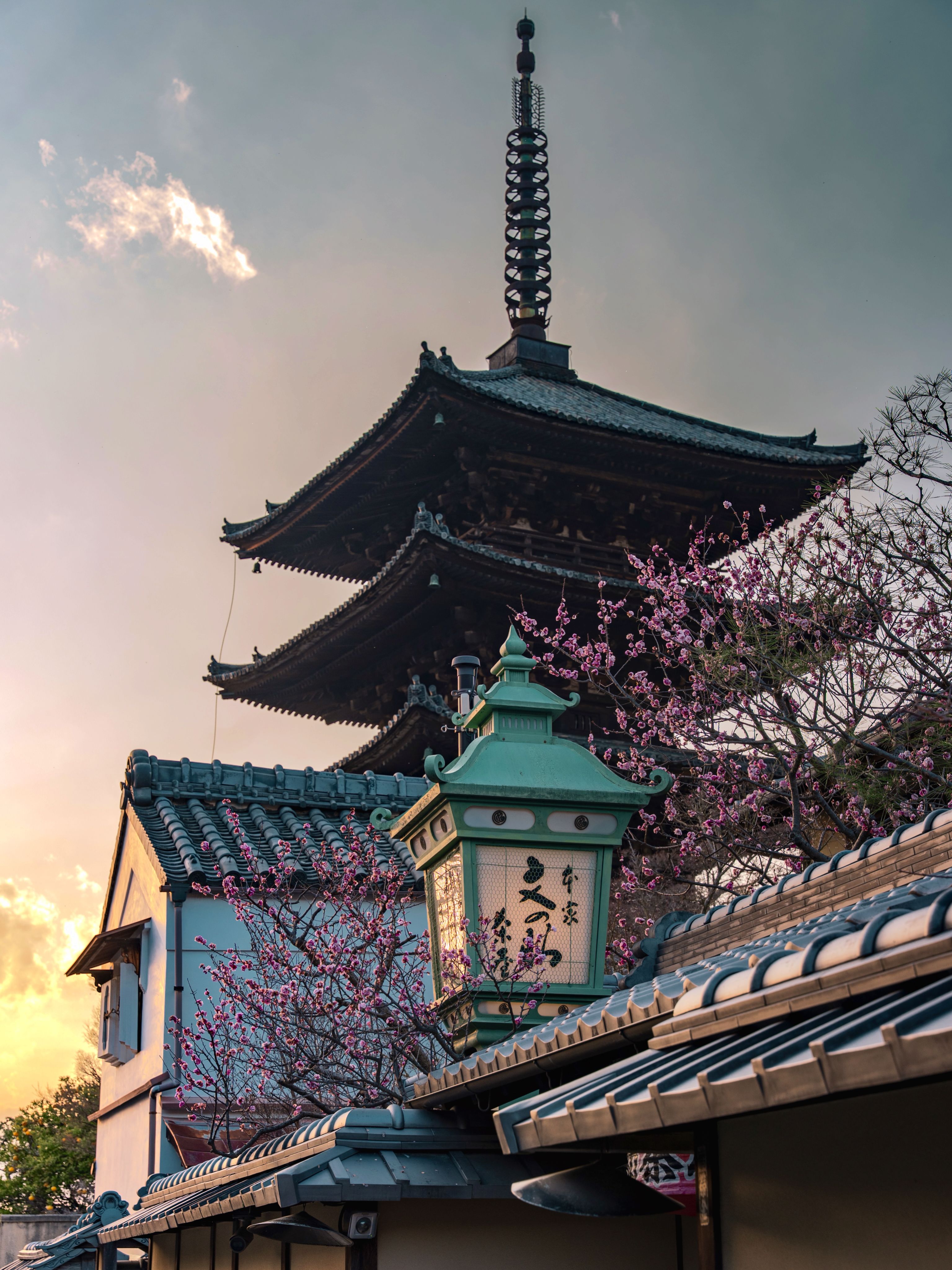 Yasaka Pagoda in Kyoto surrounded by cherry blossoms at golden hour