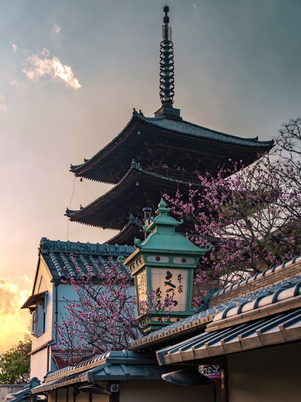 Kyoto's Ephemeral Ballet: The Ultimate Photography Guide to Sakura Fubuki Spots
