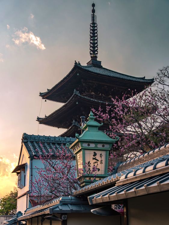 Yasaka Pagoda in Kyoto surrounded by cherry blossoms at golden hour