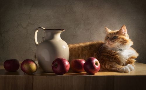 Free Ginger cat resting by a ceramic jug with red apples on wooden table in warm light. Stock Photo