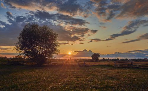 Free Peaceful autumn sunset with dramatic clouds over a rural field with trees and fences. Stock Photo