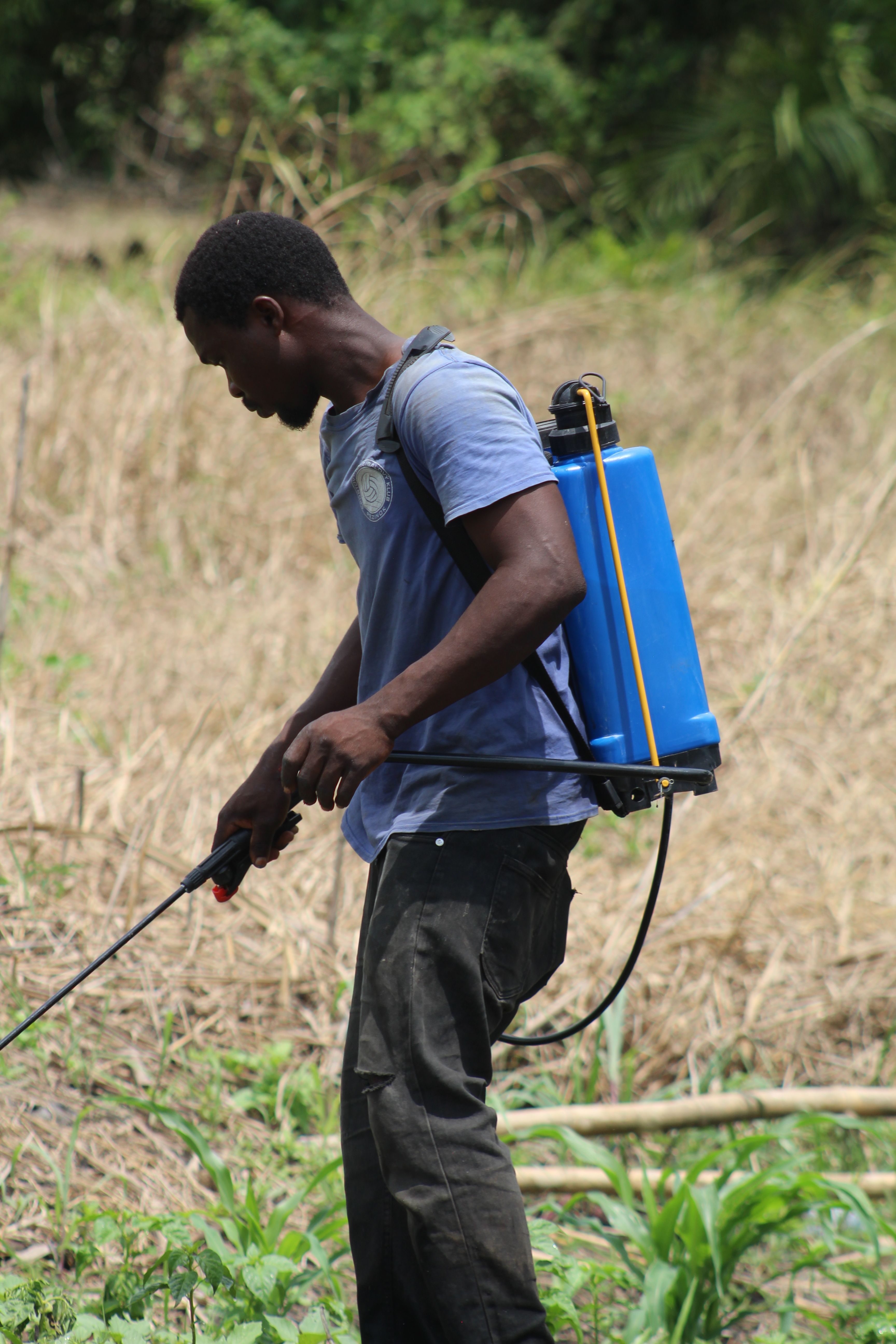 How are drones and robotics changing crop monitoring and spraying?