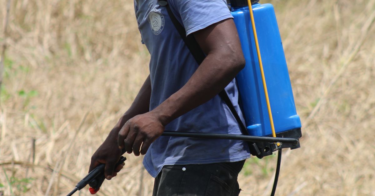 How are drones and robotics changing crop monitoring and spraying? How are drones and robotics changing crop monitoring and spraying?