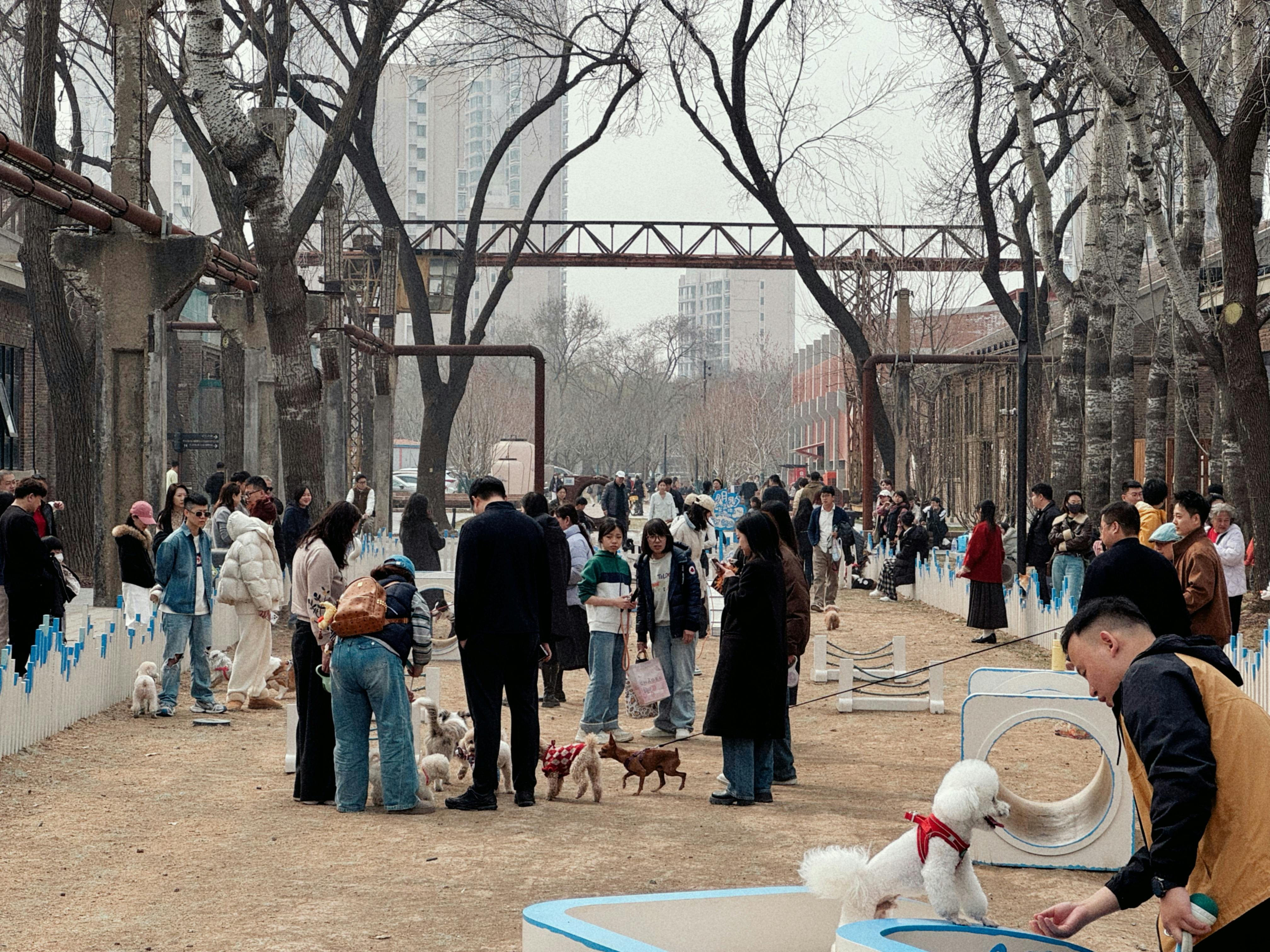 A modern dog park integrated into a city block - pet friendly urban community