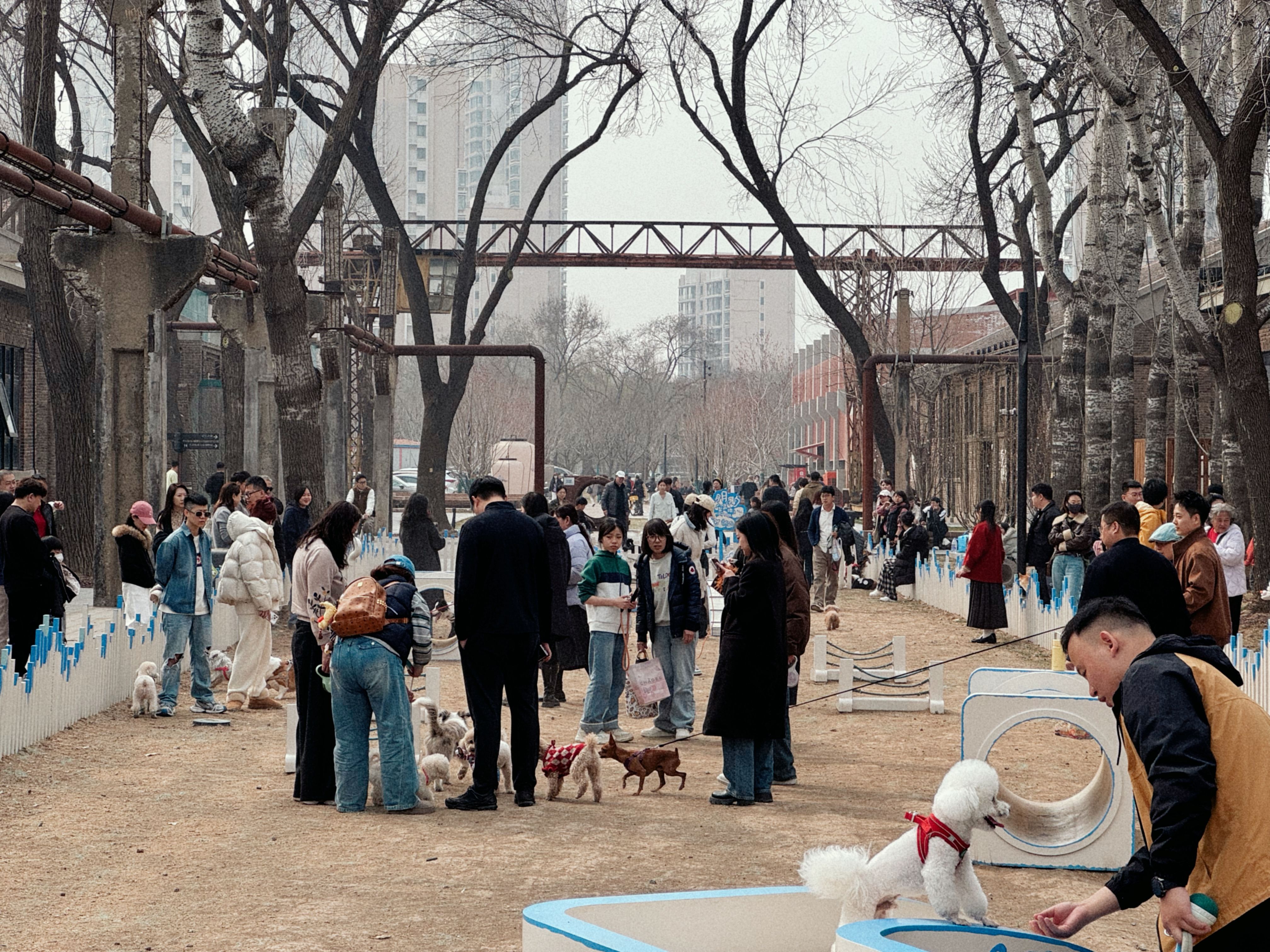 Free A busy dog park with people and dogs interacting in an urban setting. Stock Photo