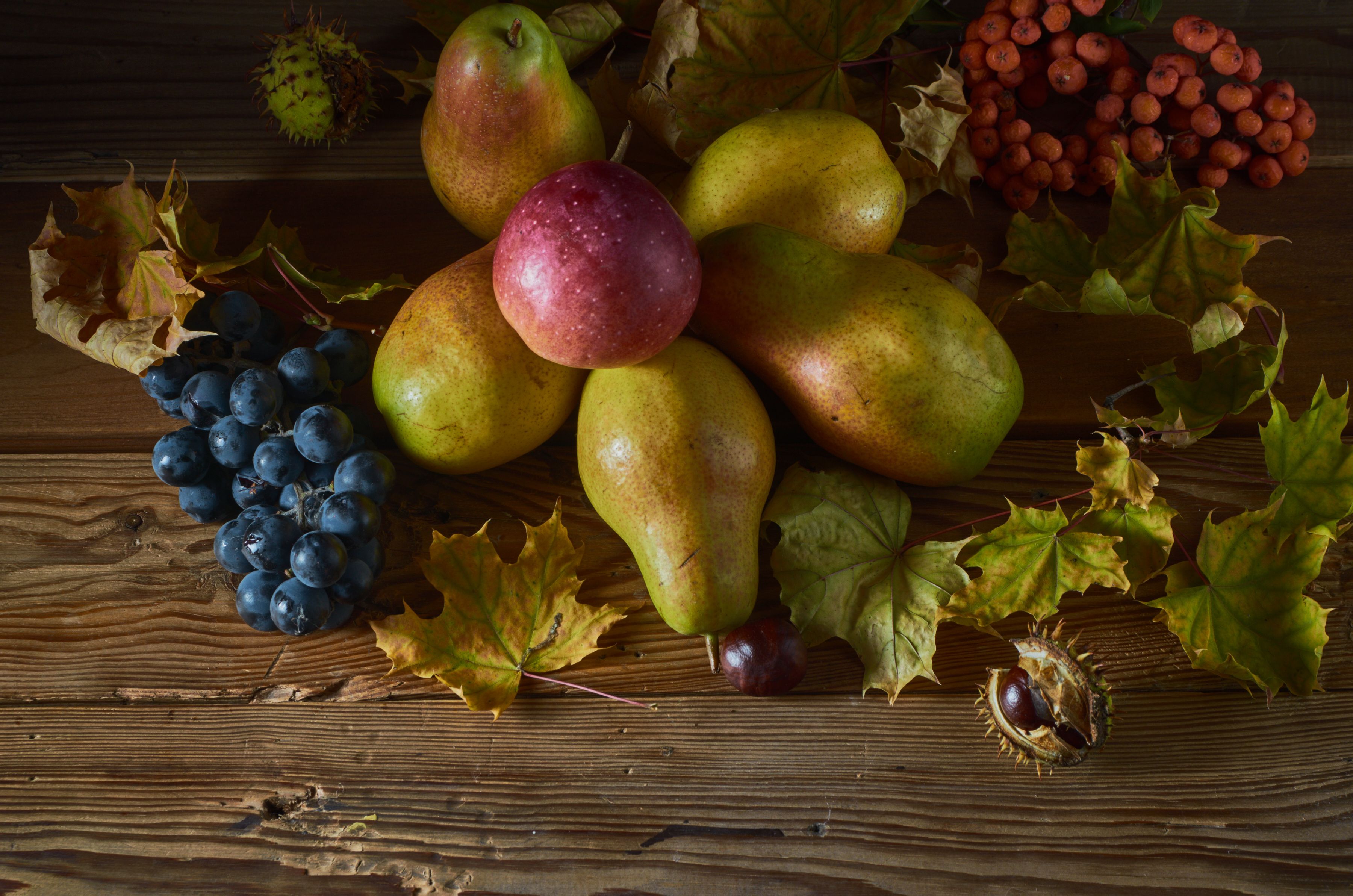 Autumn Harvest Still Life with Fruits and Leaves · Free Stock Photo