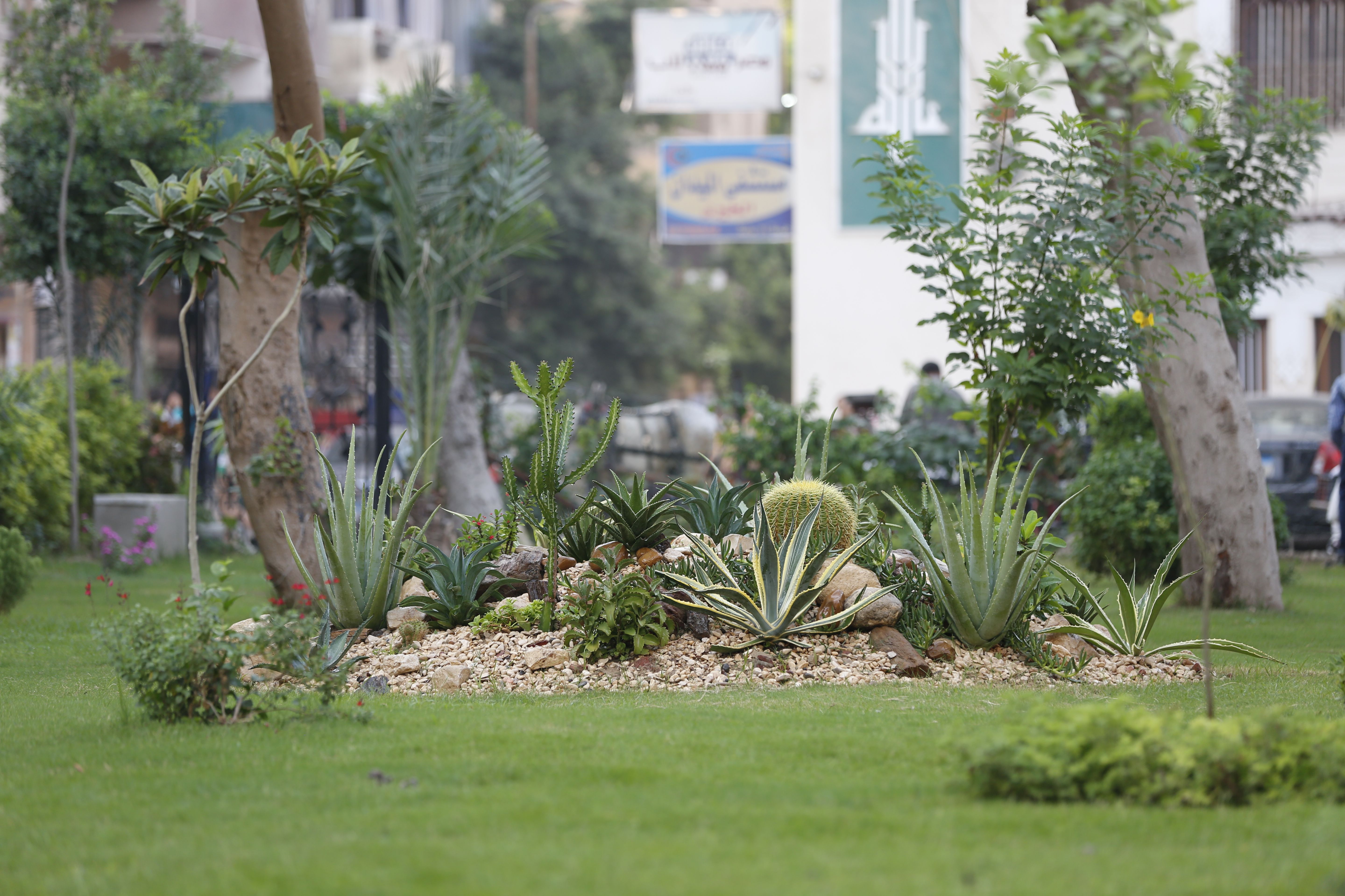 Mogadishu Peace Park