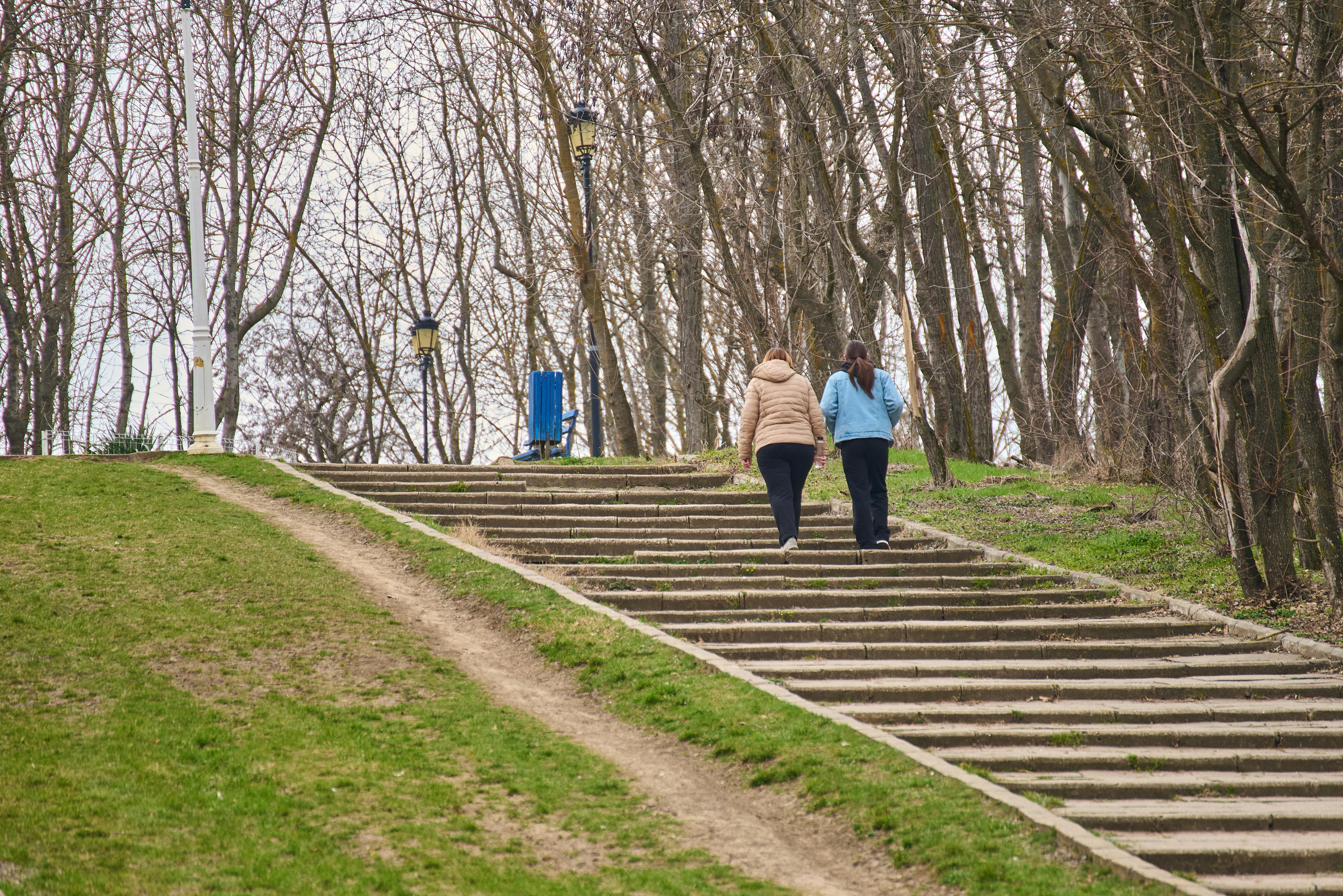 Person walking in nature for health and calorie burn