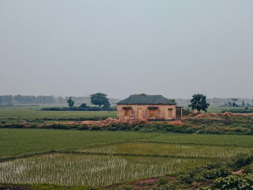 Free A solitary rustic house stands amidst expansive green fields under an overcast sky. Stock Photo