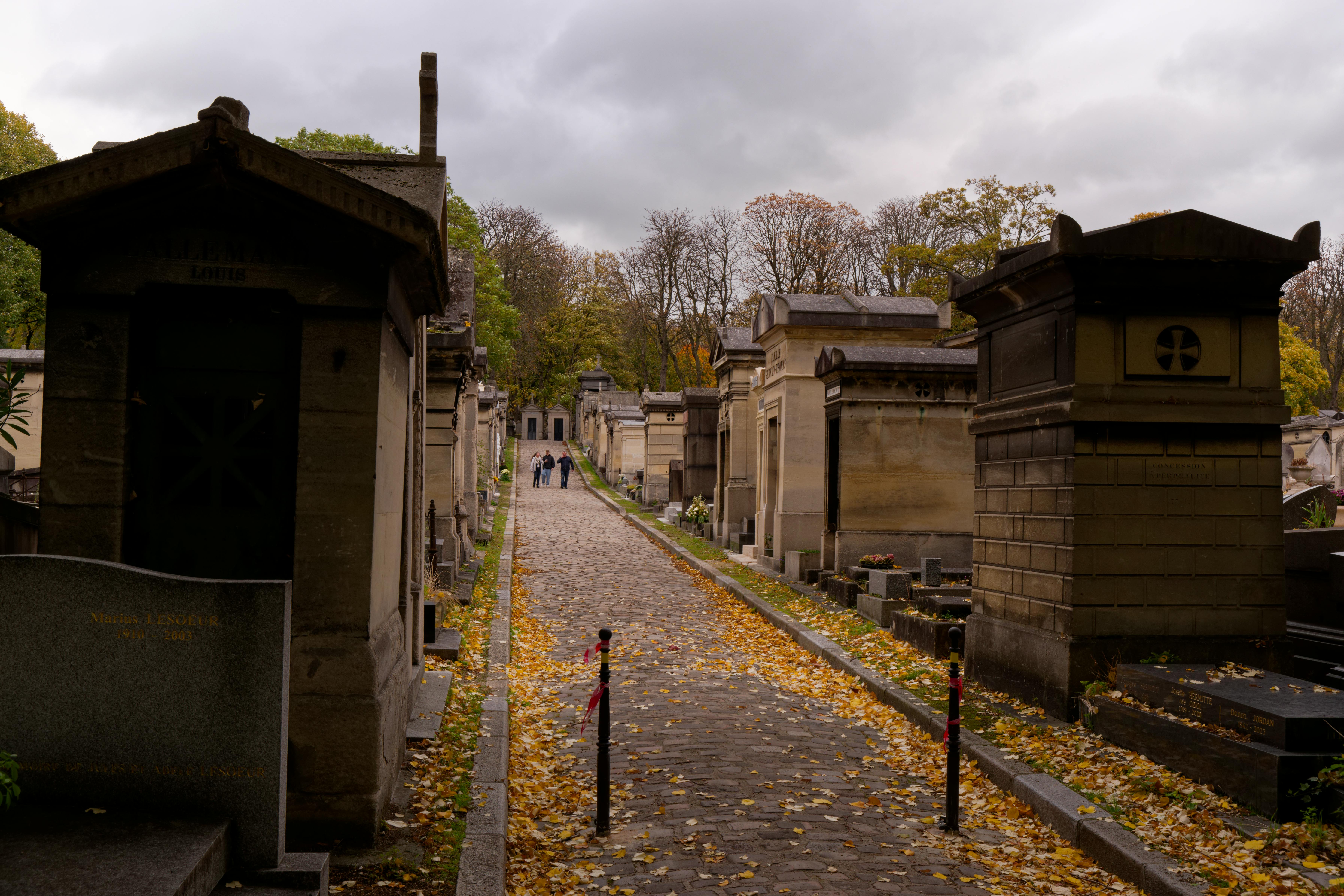 Sendero de un cementerio antiguo bordeado de árboles otoñales