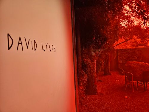 Free stock photo of david lynch Stock Photo