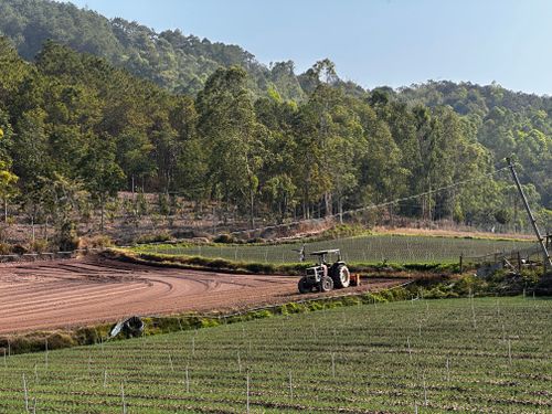 Free A tractor plows fields surrounded by lush greenery and rolling hills, under a bright clear sky. Stock Photo