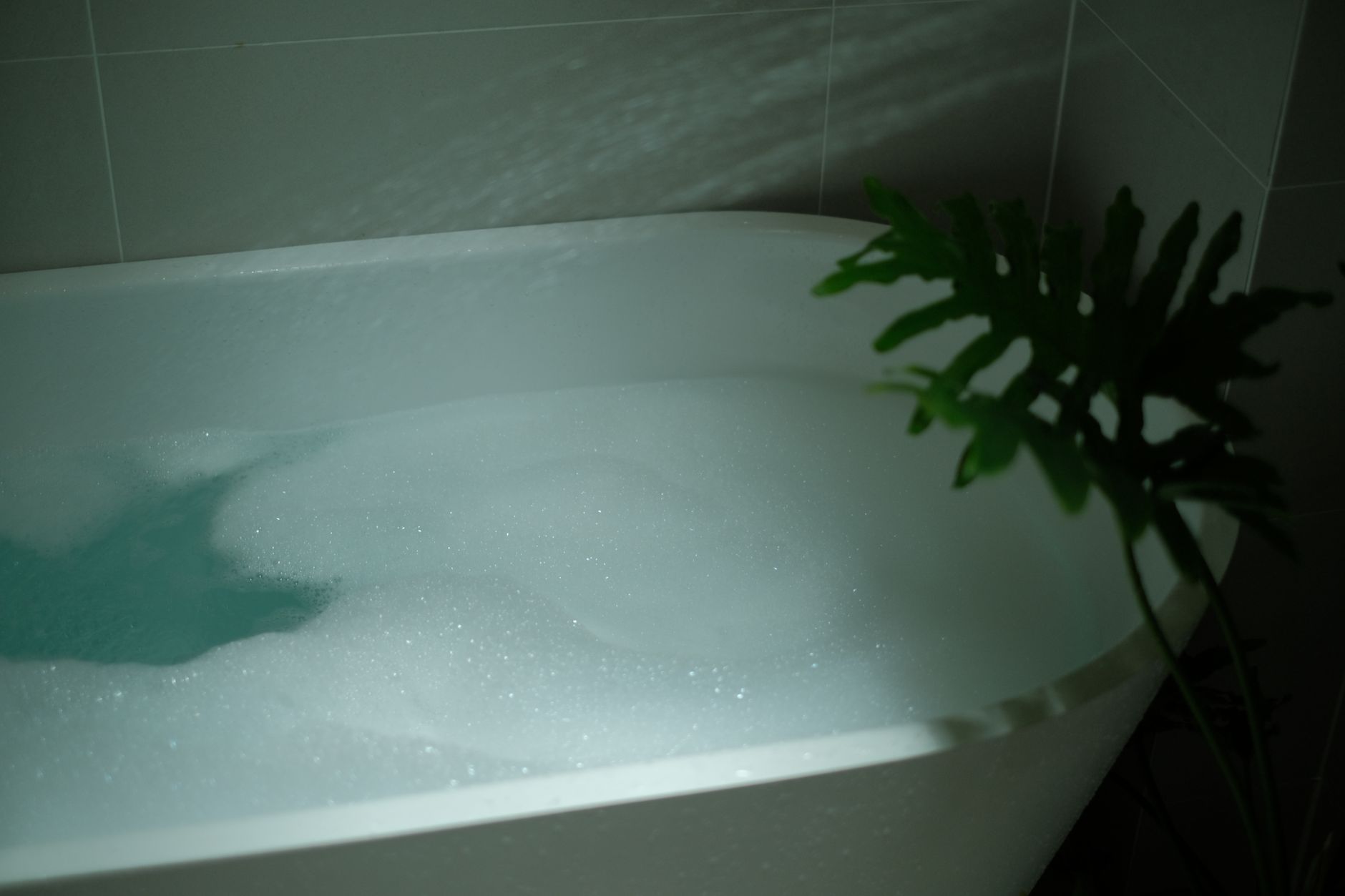 quiet luxury bathroom transformation for renters Relaxing indoor bubble bath scene with soft lighting and tropical plant shadow, ideal for spa relaxation theme.