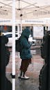 Person Standing Under Tent on Rainy Day