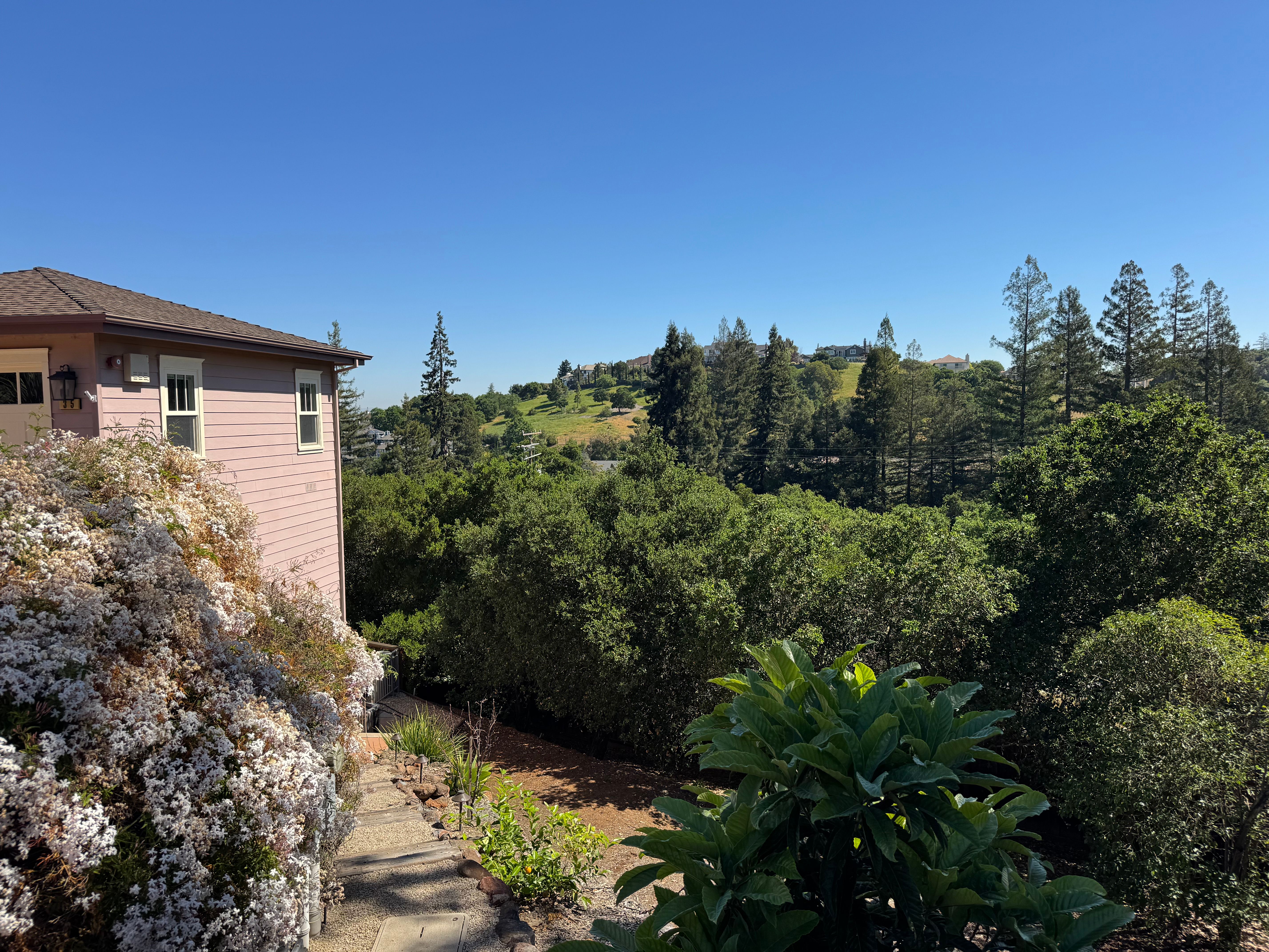 Sunny suburban landscape view from San Francisco overlooking lush greenery and distant hills.