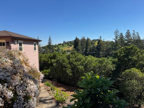 Sunny suburban landscape view from San Francisco overlooking lush greenery and distant hills.