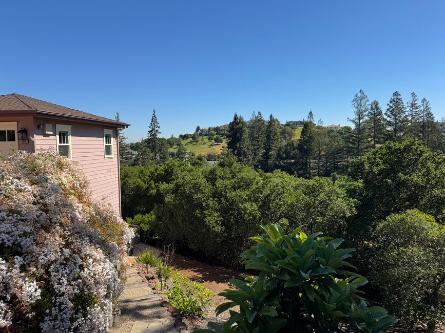 Sunny suburban landscape view from San Francisco overlooking lush greenery and distant hills.