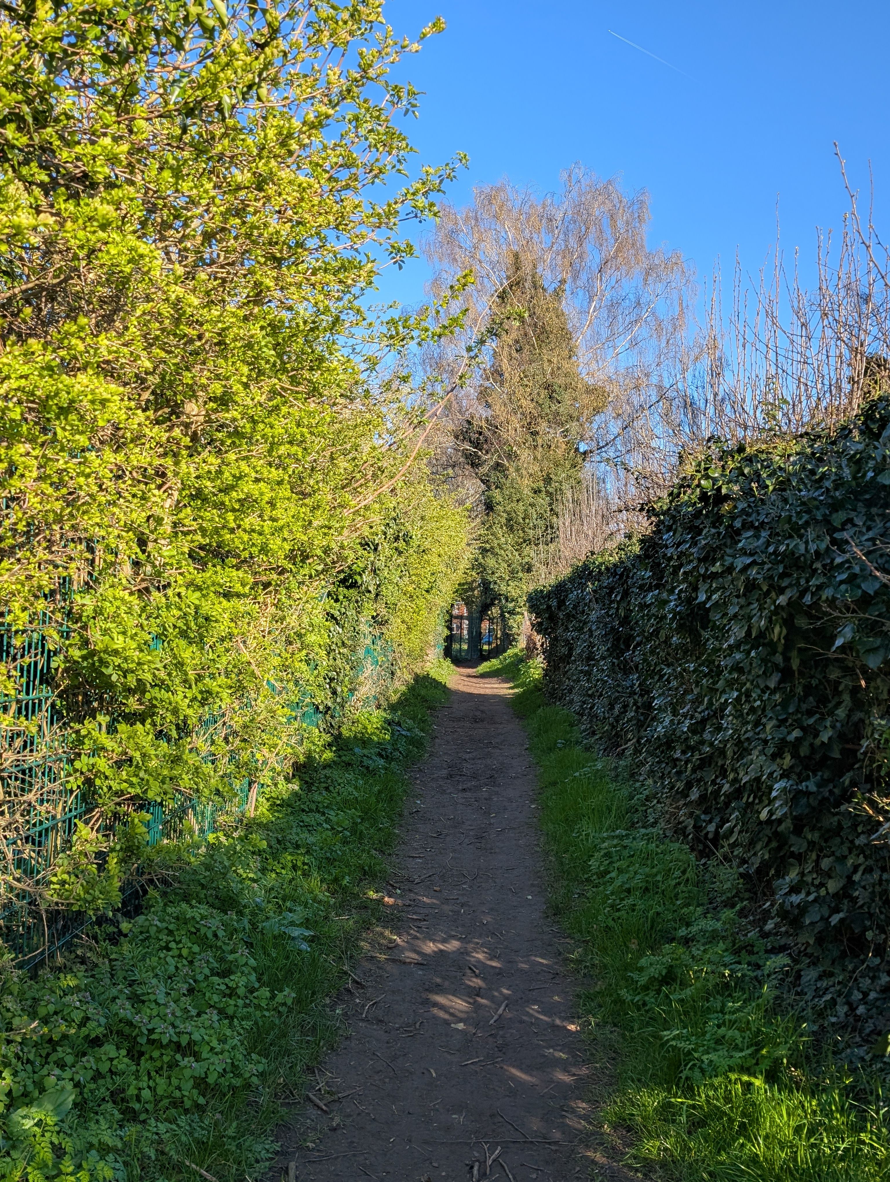 Sunny Pathway Through English Countryside · Free Stock Photo