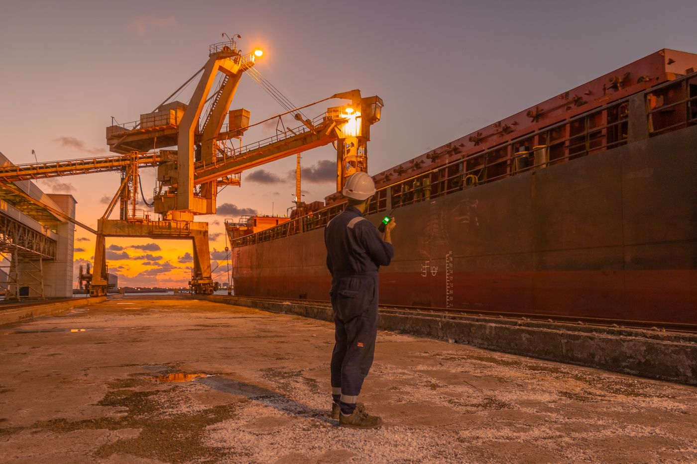 Operational cargo inspection illustration