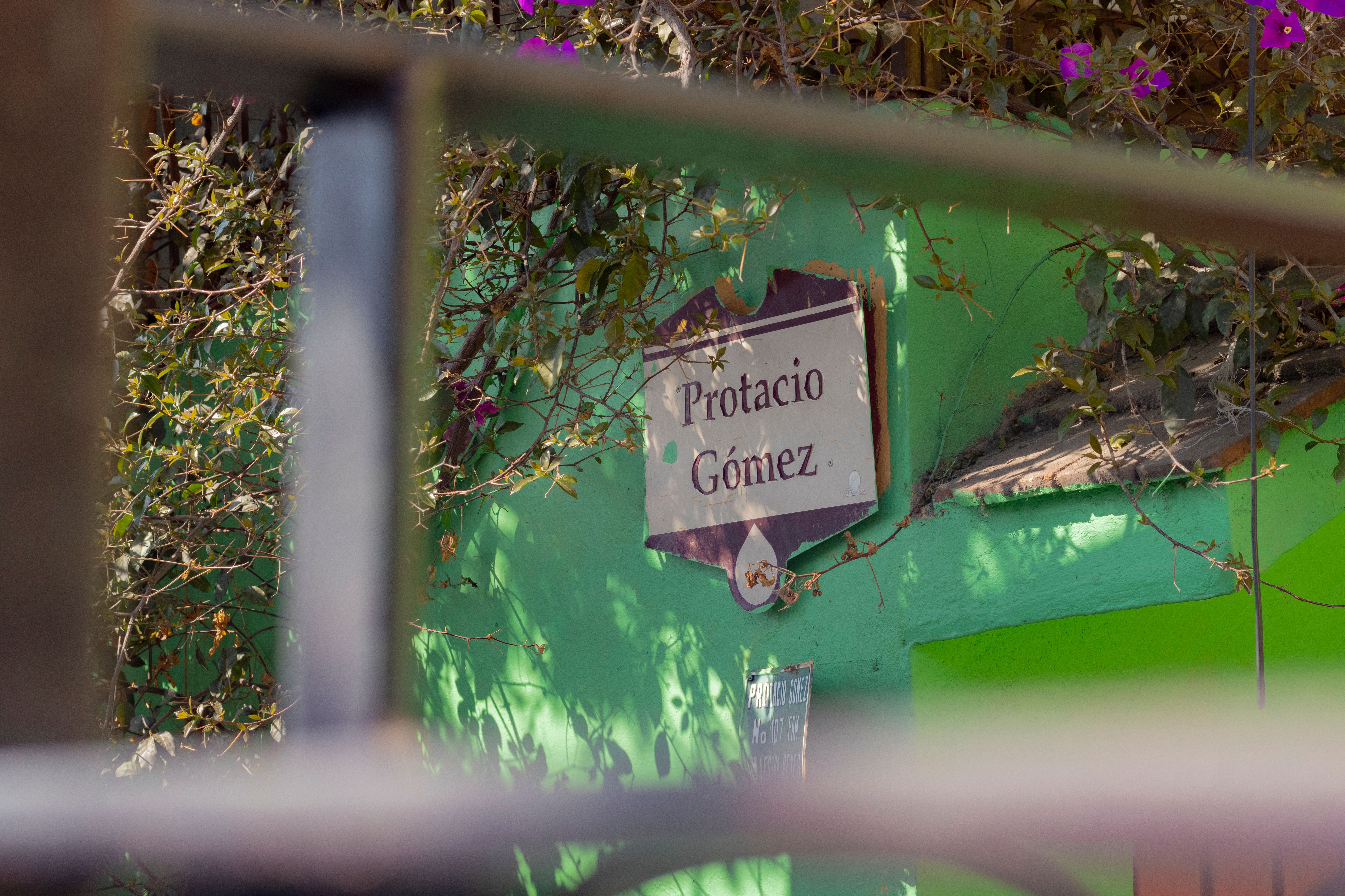 A colorful street sign in Toluca surrounded by greenery and flowers.