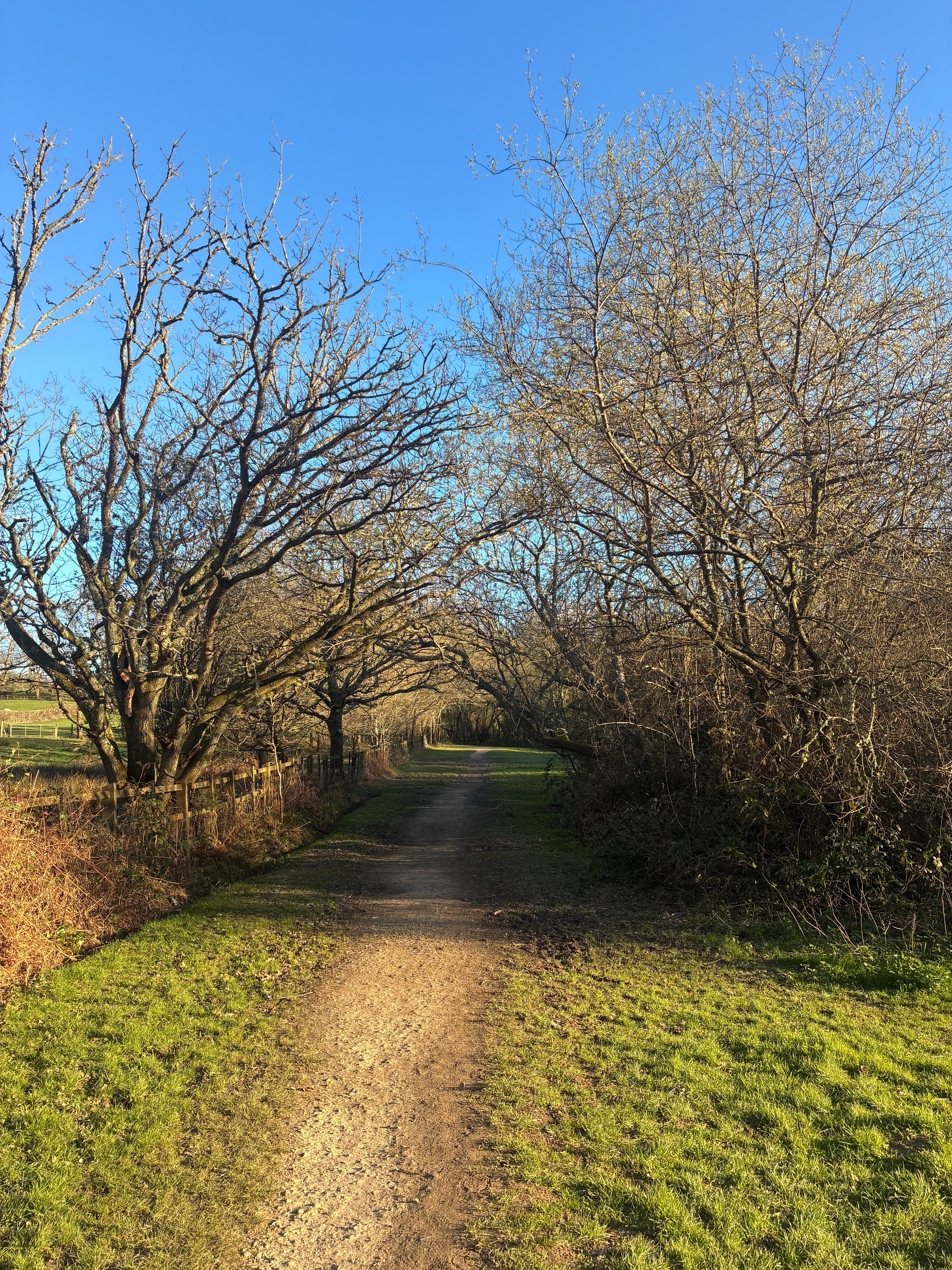 Scenic Nature Trail in English Countryside · Free Stock Photo