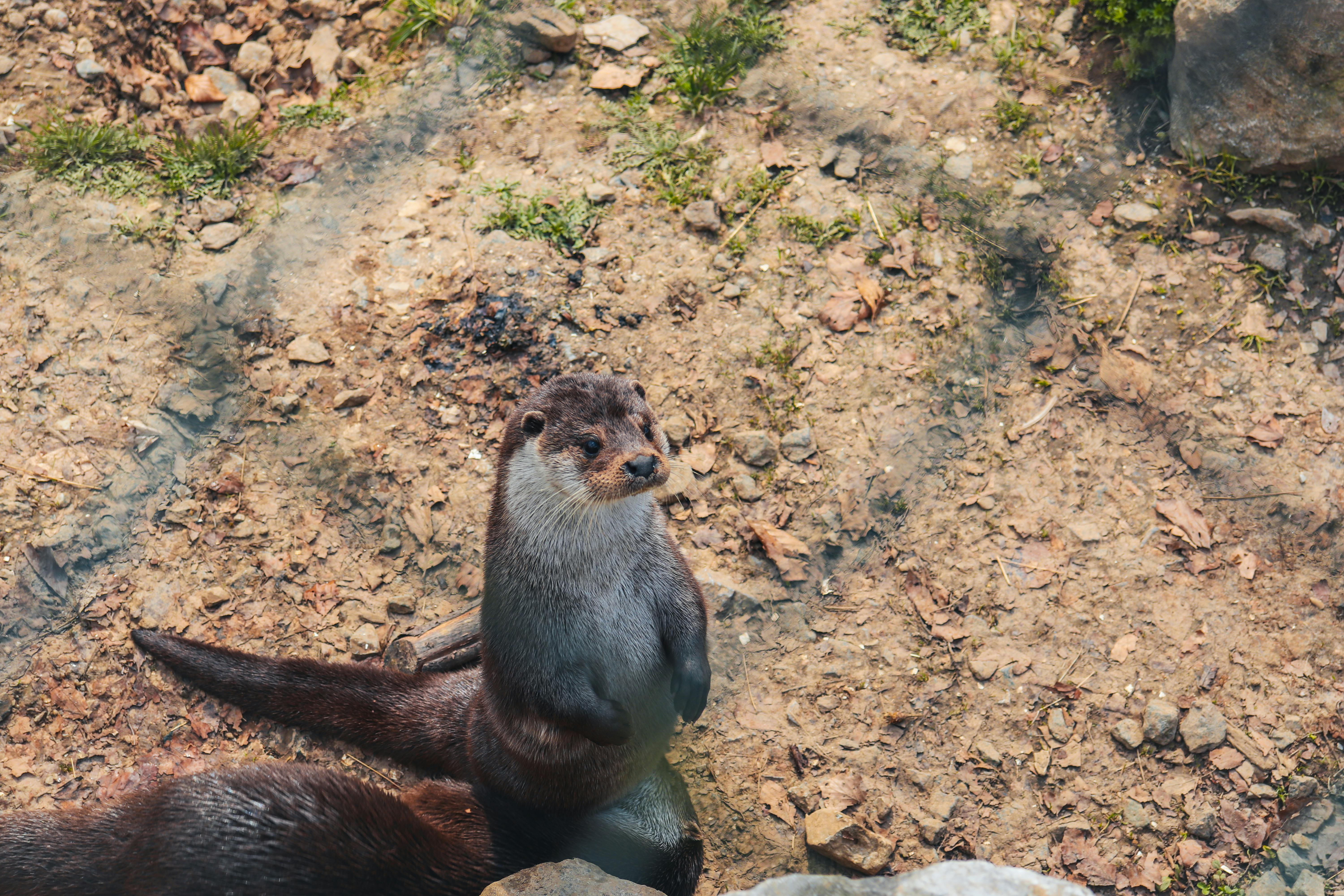 Bitters & Love Post feature image