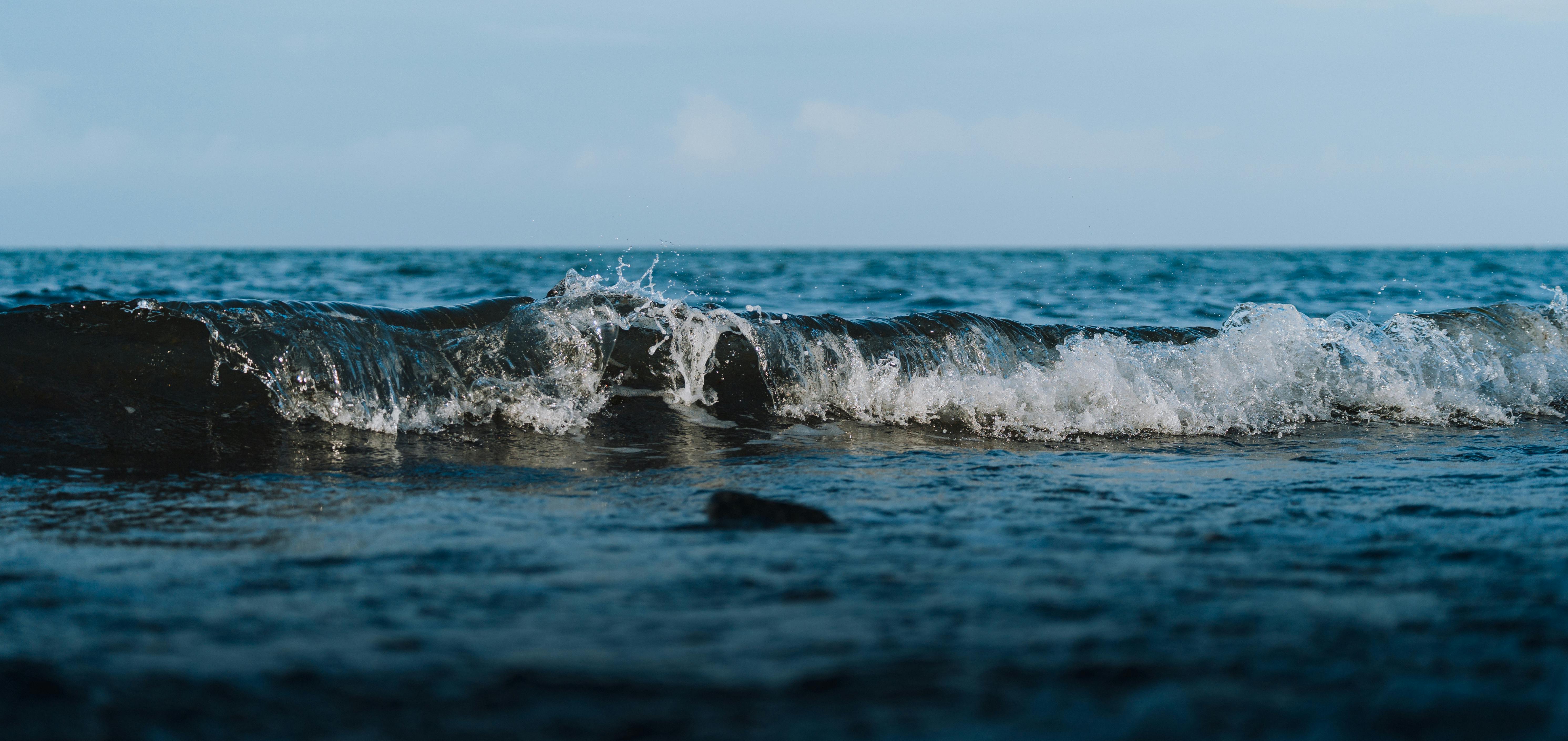 climate resilience, sea level rise, drought mitigation, ecosystem restoration, climate policy, Climate adaptation — Photo by 