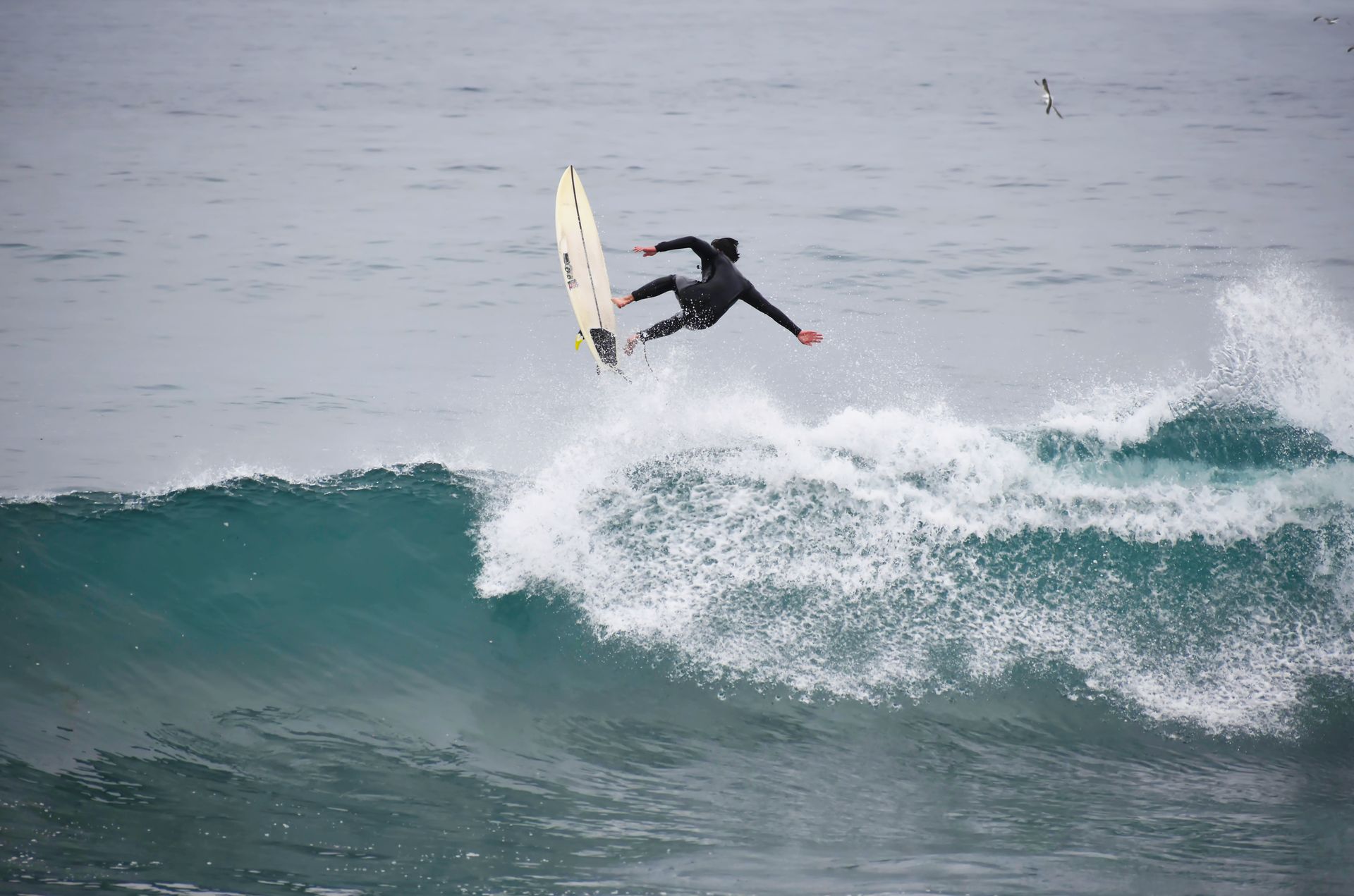 Surfer riding a wave in Agadir