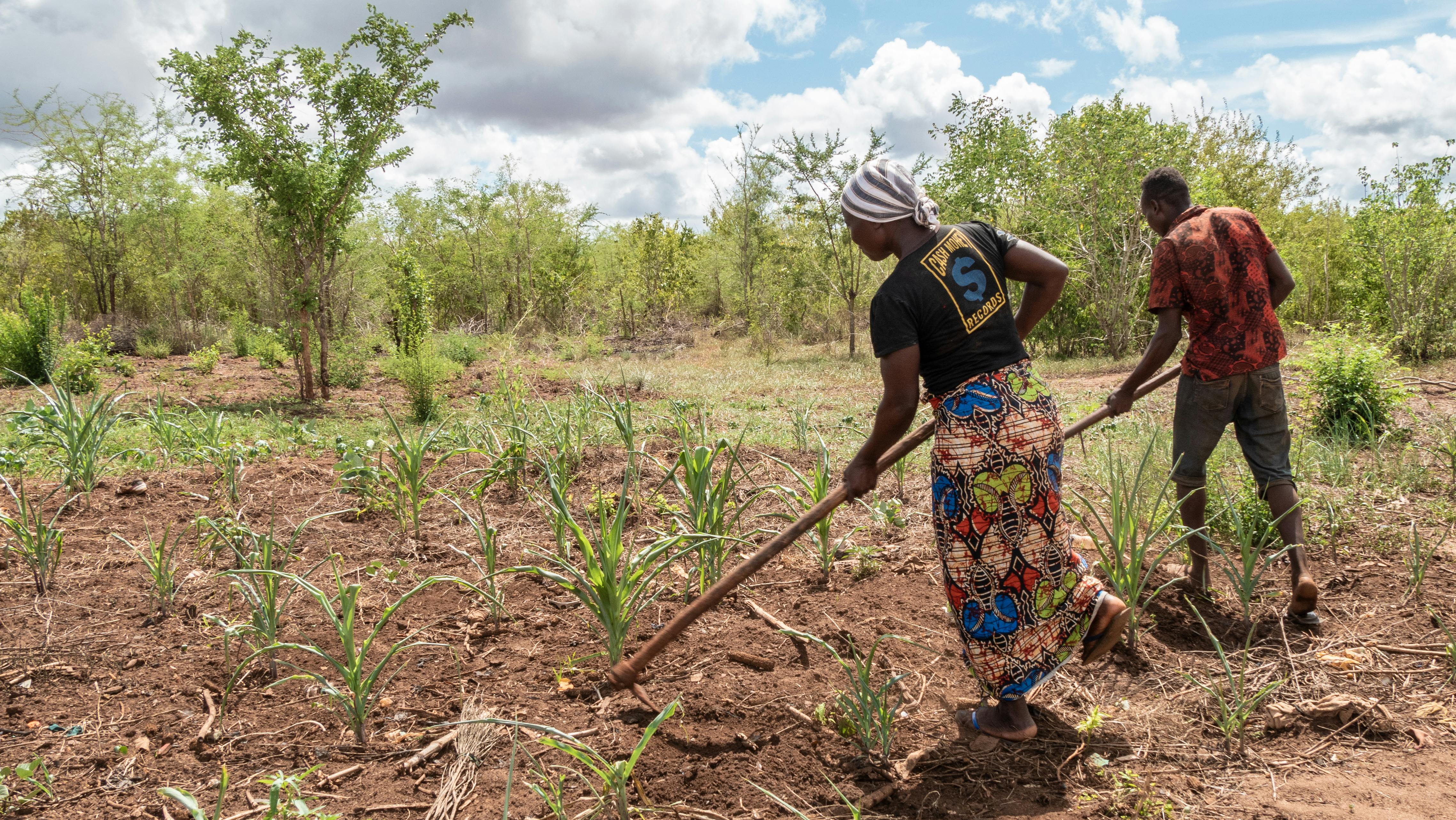 Charles Schwab Foundation supports new financial planning option — Photo by Rufaro Makaya on Pexels