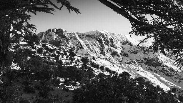 Black and white winter landscape featuring snowy mountains in Algeria.