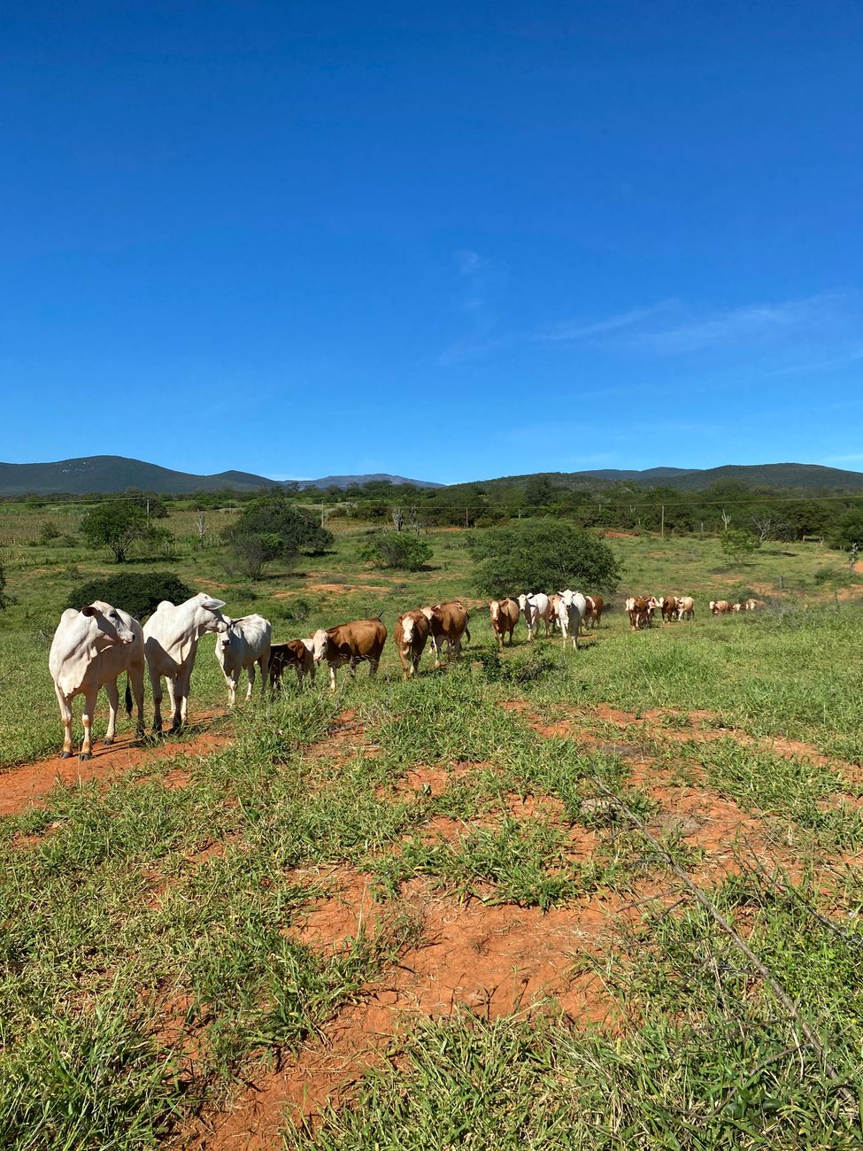 Cantanhede recebe o Campo Paralímpico Jovem