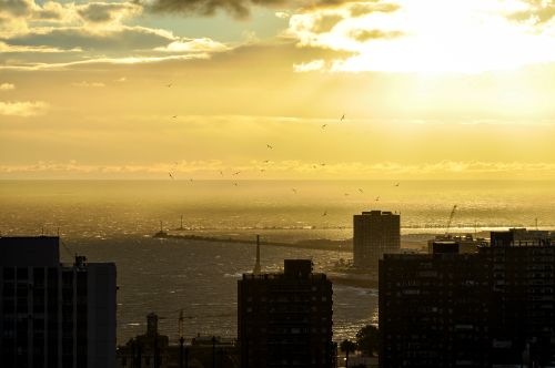 Free Gorgeous sunset view of Montevideo skyline with illuminating golden light over the ocean. Stock Photo
