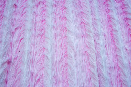 Free A close-up view of a soft pink and white furry texture, perfect for backgrounds, patterns, or design templates. Stock Photo