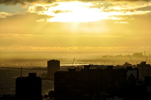 Free Stunning view of Montevideo skyline at sunset, capturing golden hues and city silhouettes by the sea. Stock Photo