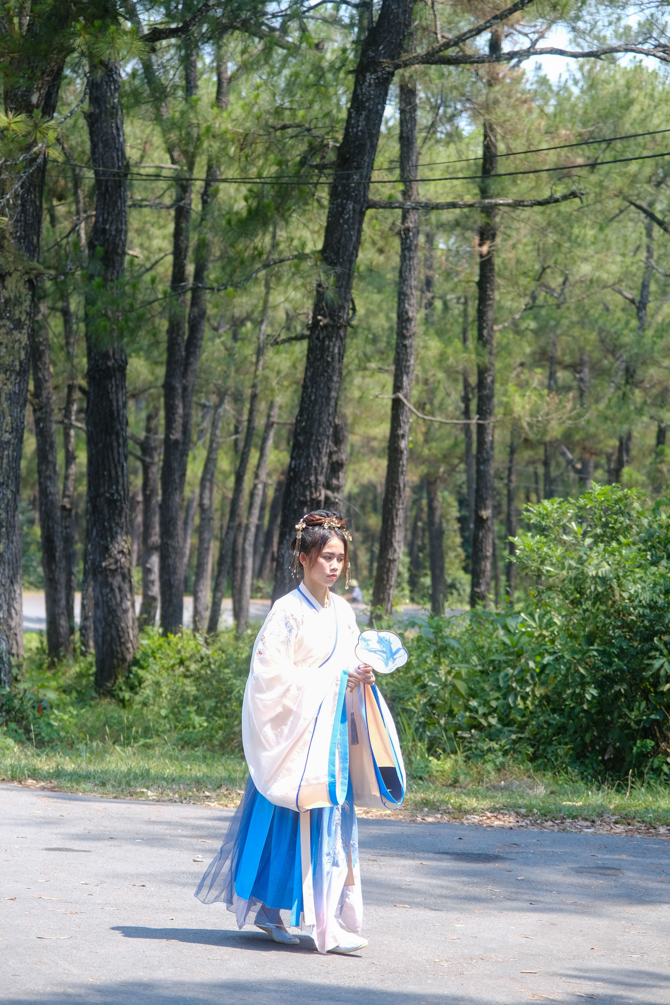 Traditional Vietnamese Woman Walking in Hue Forest · Free Stock Photo