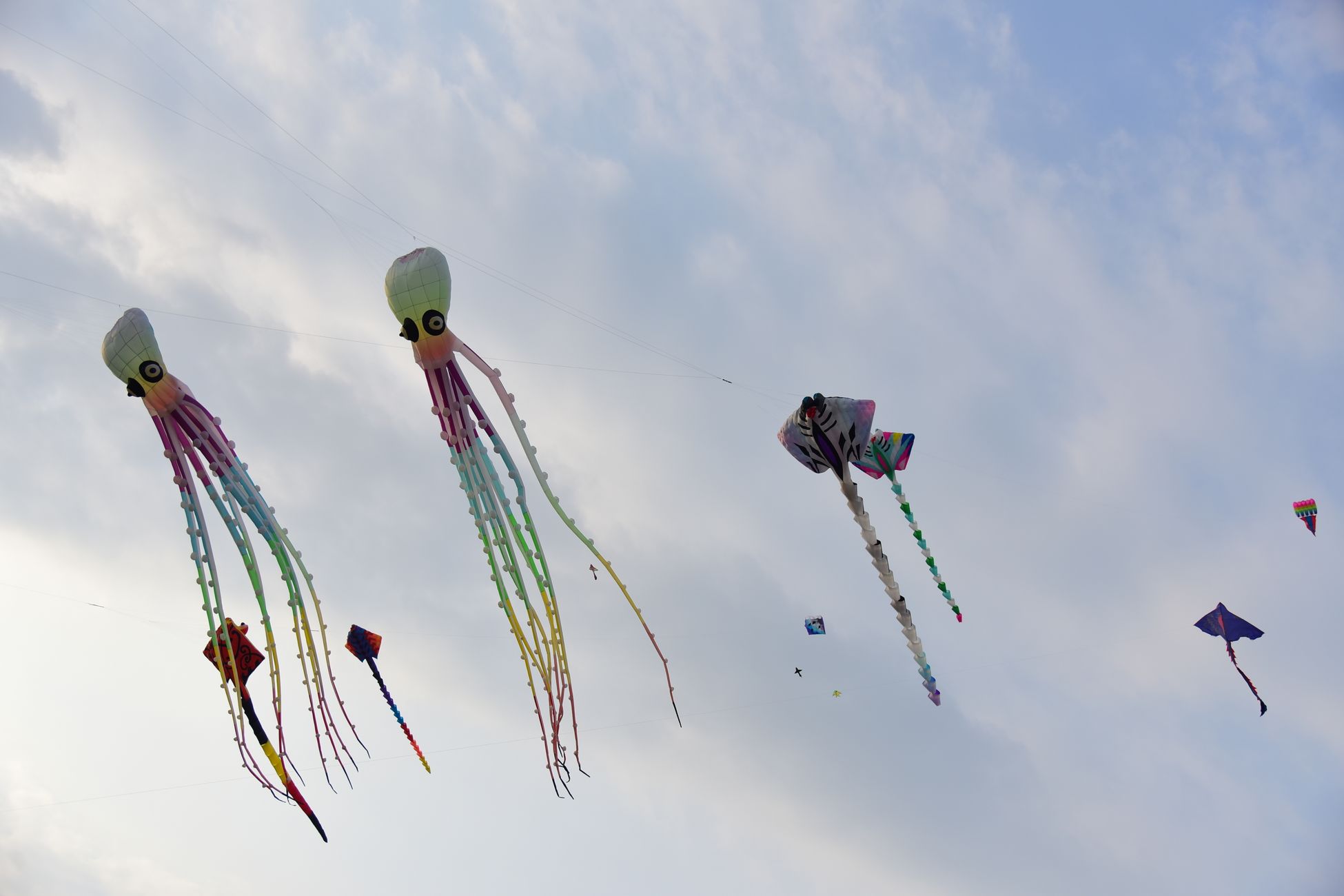 Vliegerfestival aan Zee kleurt de lucht boven Delfzijl