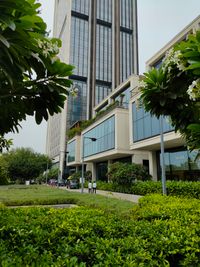 Lotus Business Center, photo 1