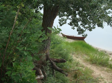 Peaceful lakeside view with lush greenery and a wooden boat on the sandy shore.