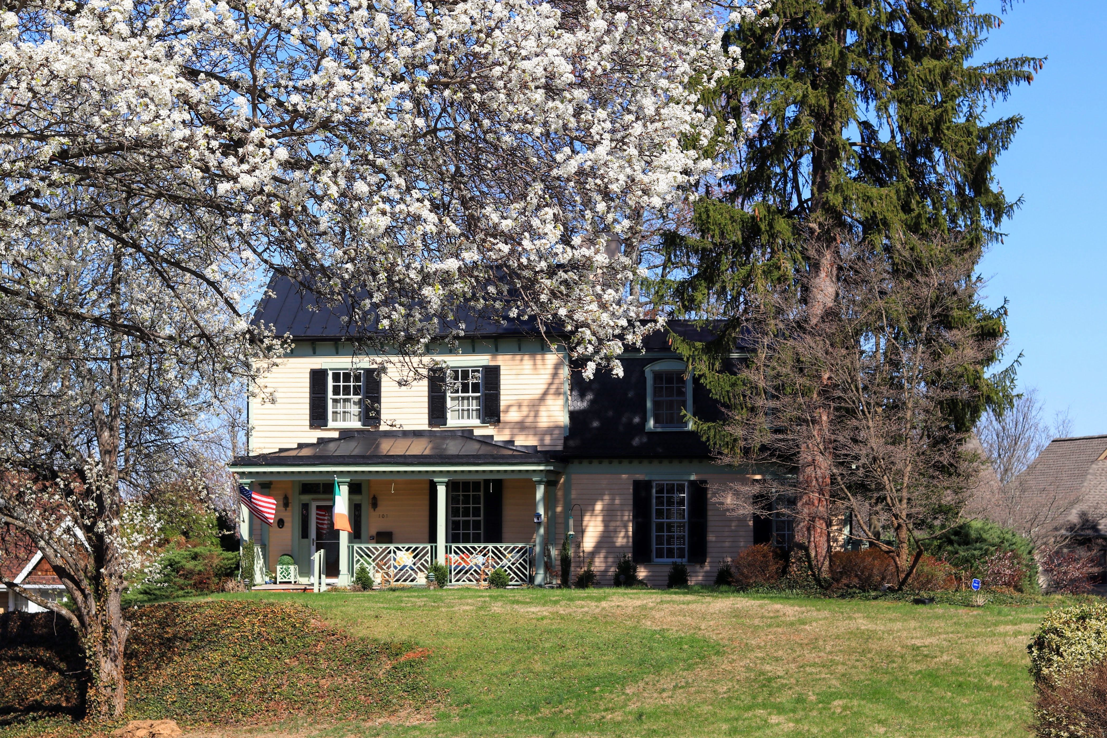 Give your home a spring reset for less than $100 with these DIY home improvement projects — Photo by Tristan Wilson on Pexels