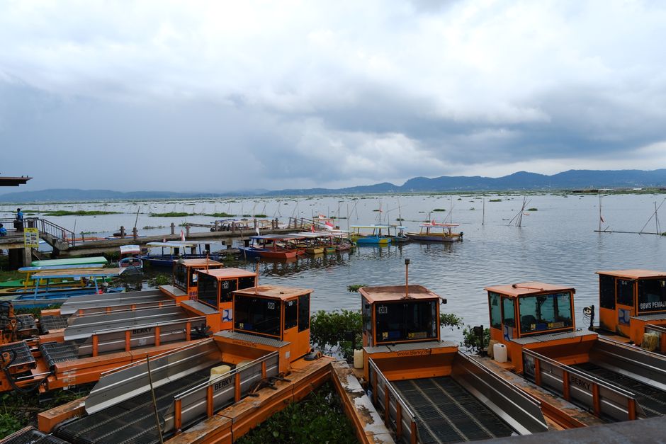 Menelusuri Keindahan Tersembunyi Rawa Pening Indralaya: Spot Baru Wisata Mangrove 2025