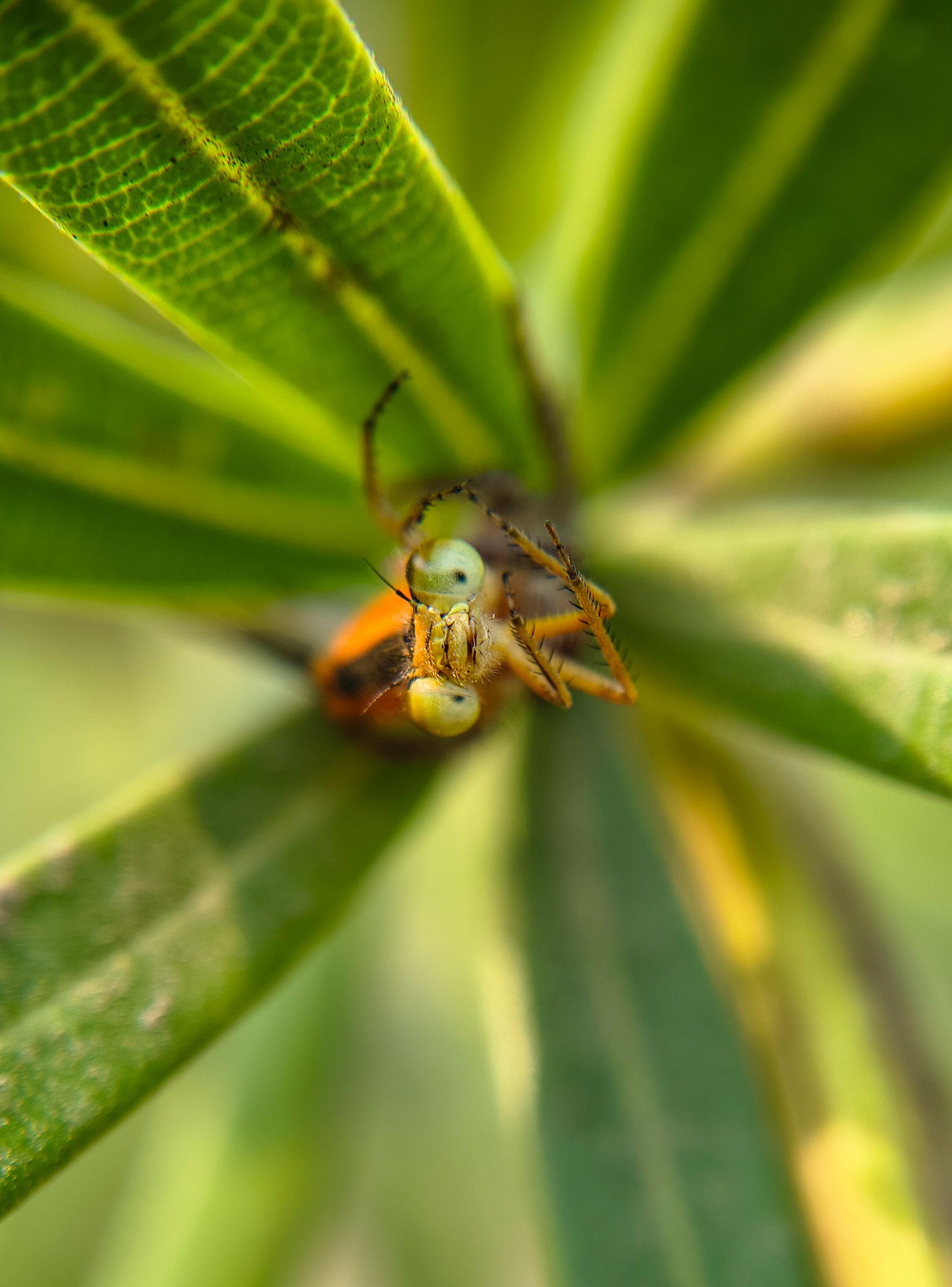Detailed macro shot of an insect perched on a green plant, highlighting nature's intricacy.