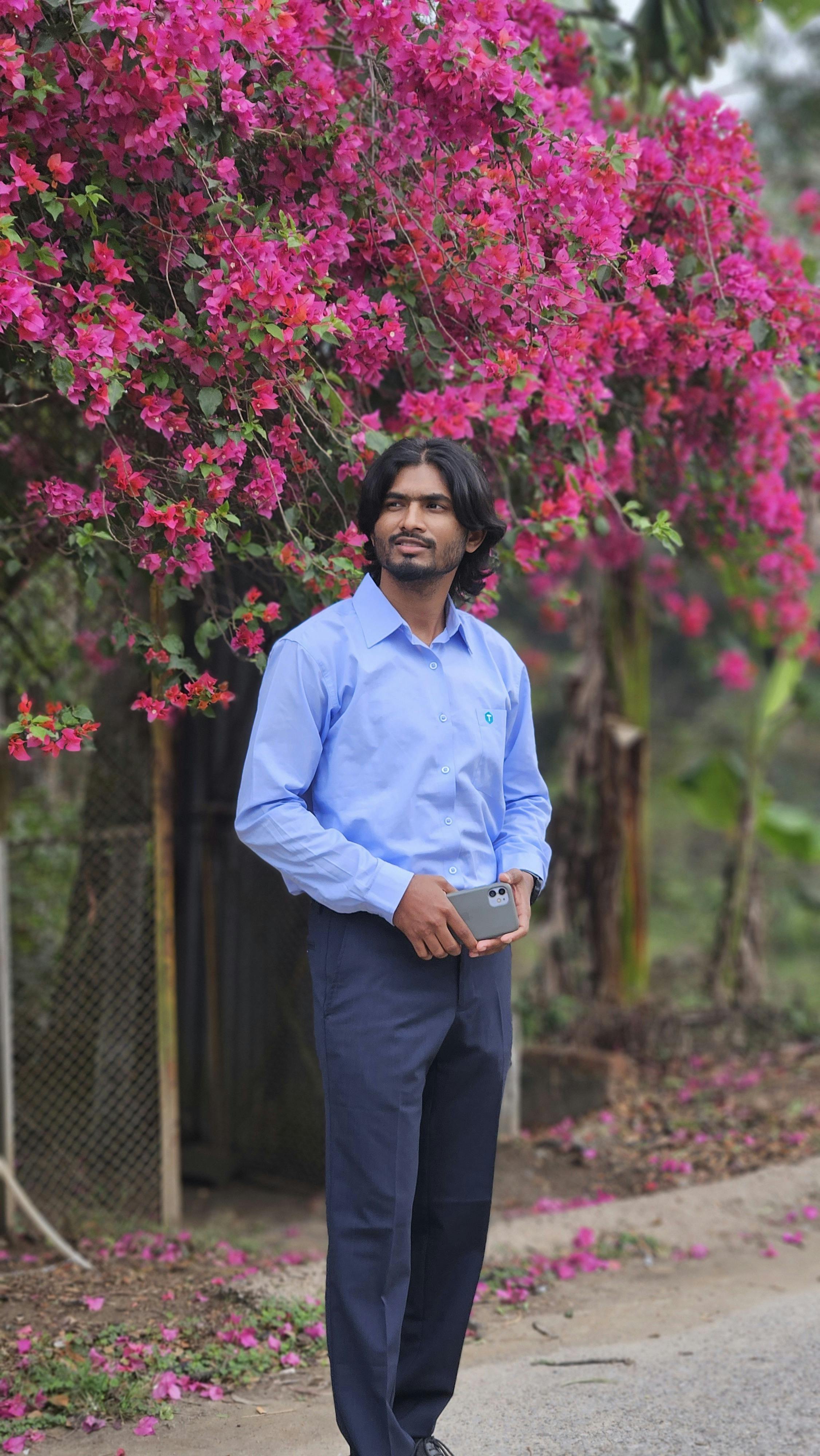 A man in a blue shirt admires vibrant pink blossoms outdoors. Ideal for lifestyle and nature themes.