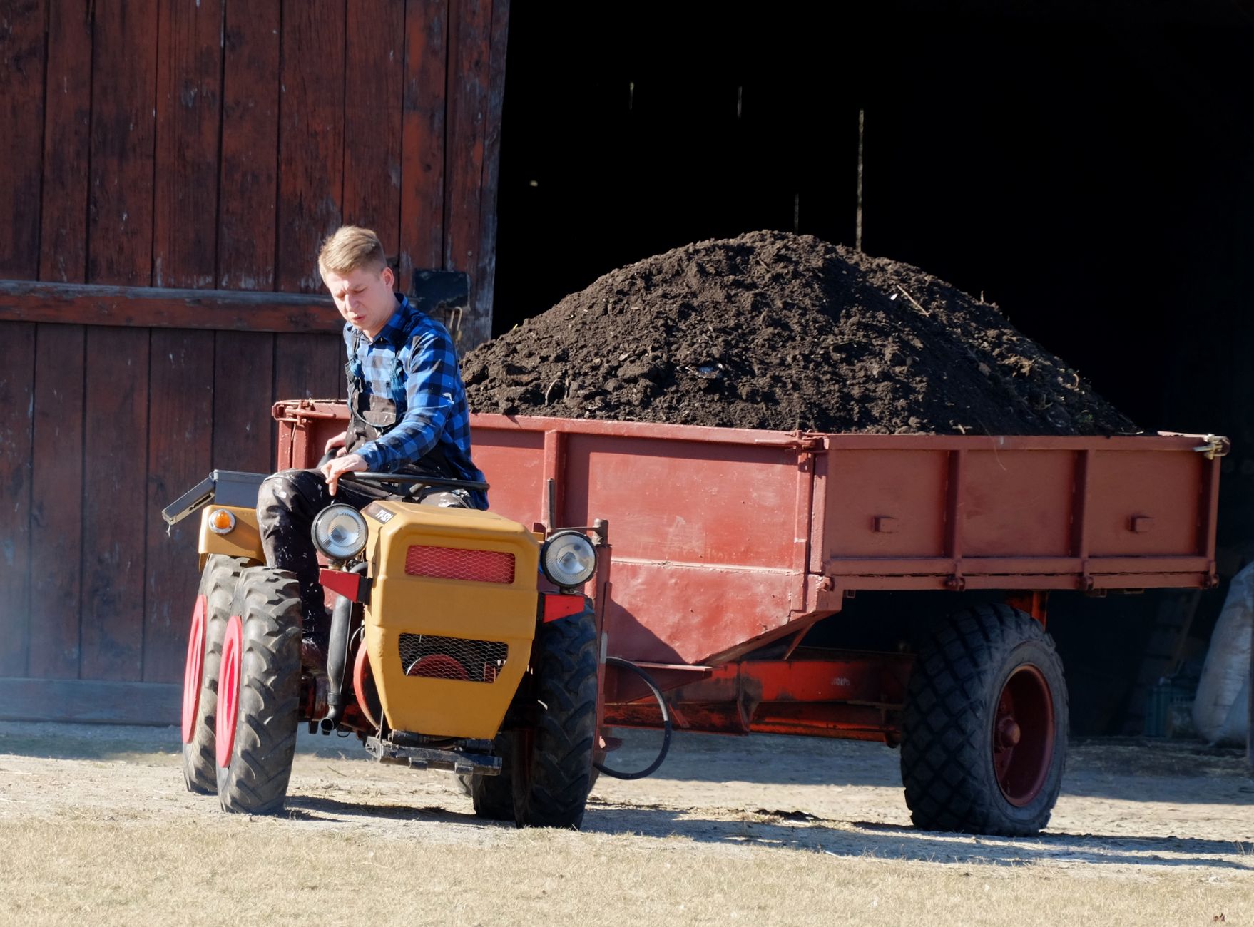 Young farmer driving a small tractor with a trailer full of soil in front of a barn.