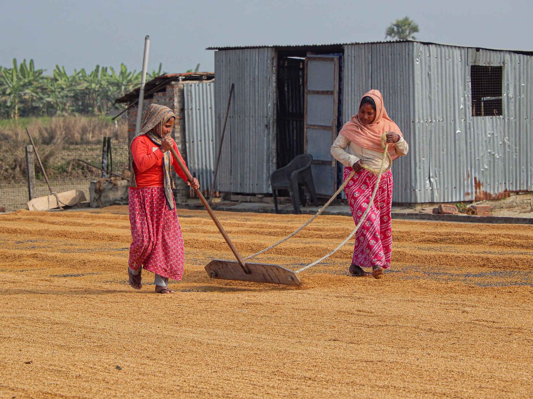 Women working in a rural livelihood activity