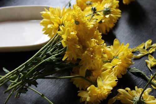 Free Vibrant yellow chrysanthemums arranged on a dark surface, exuding freshness. Stock Photo