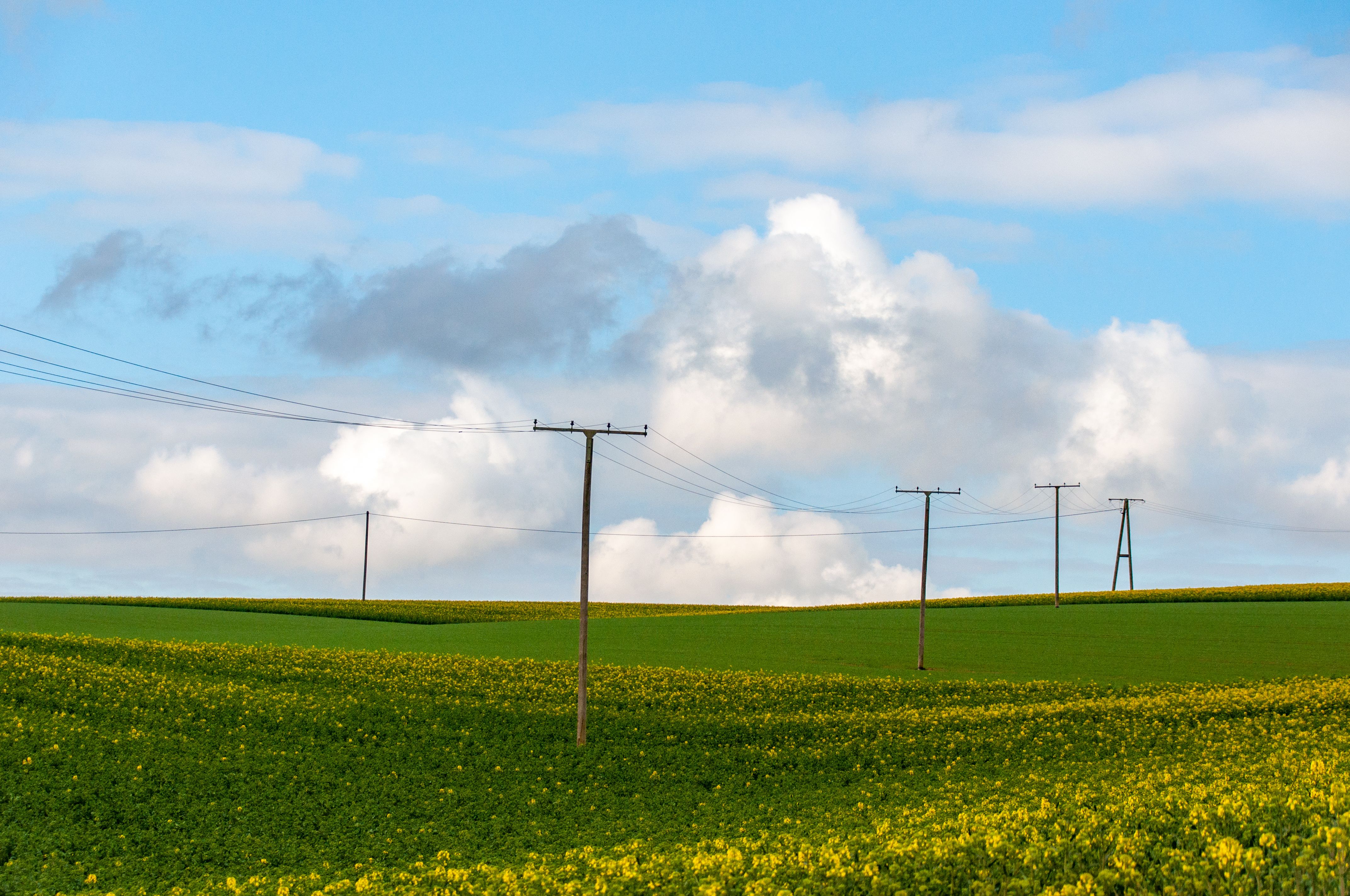 Over 800 homes lose electricity in east Donegal after Storm Boelo