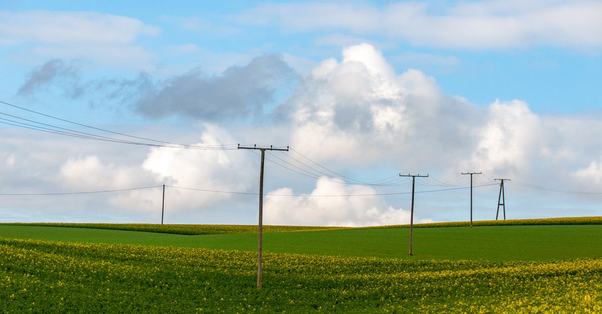 Vibrant green fields under a blue sky with power lines and fluffy clouds.